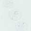 AGELESS Total Pure Hyaluronic Filler